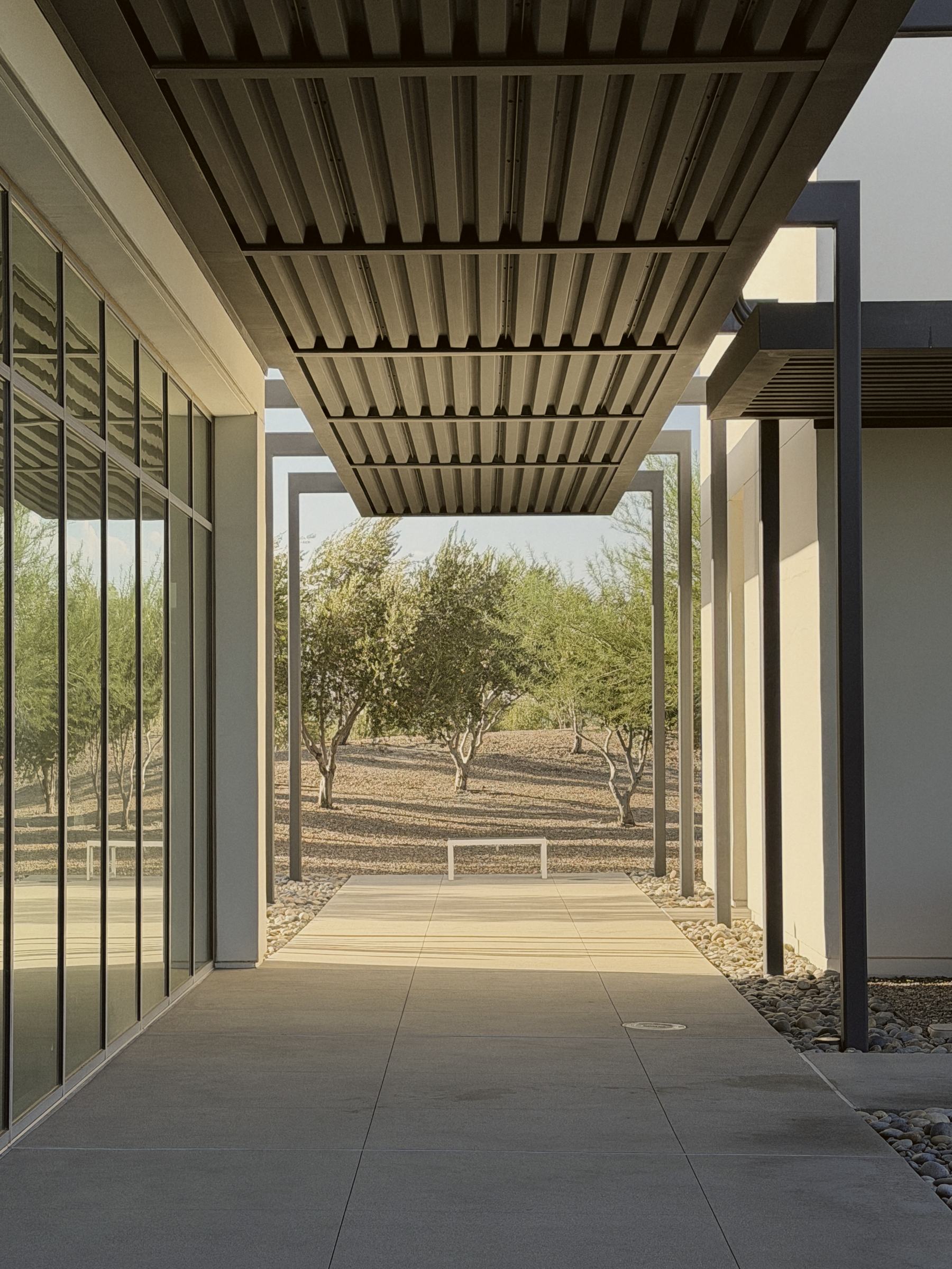 A shaded walkway opening onto a grove of desert trees