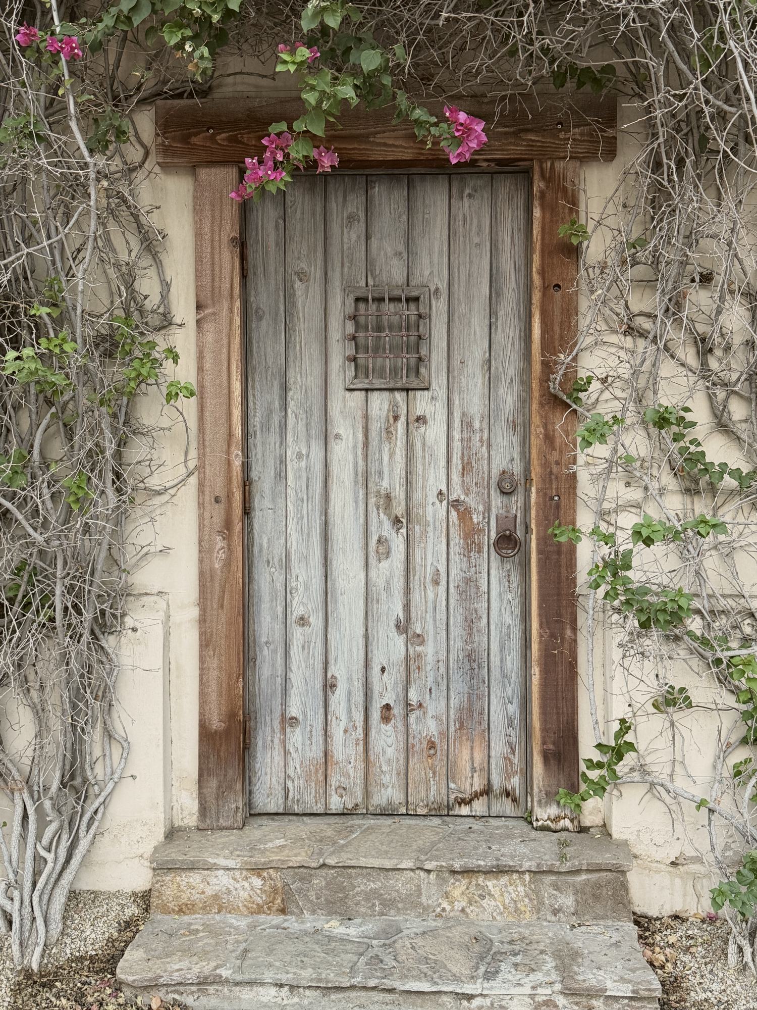 A weathered wooden door framed by bougainvillea